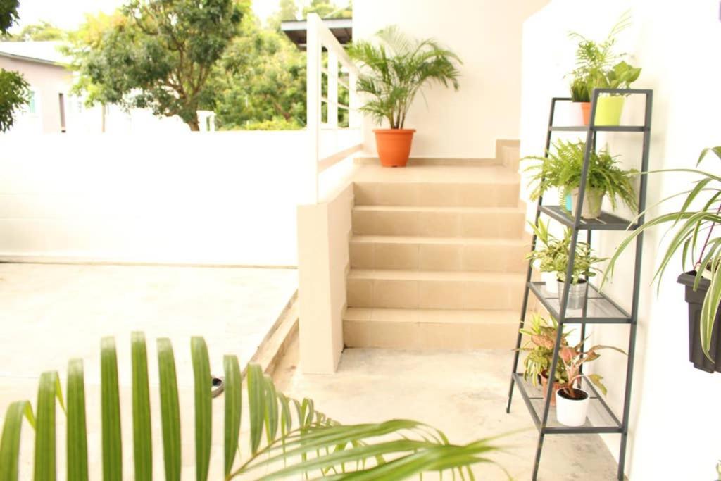 New Seaview Cozy Modern Beach House Tanjung Bungah  Esterno foto